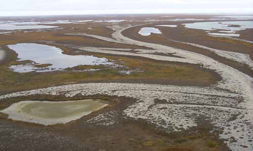 view of the tundra